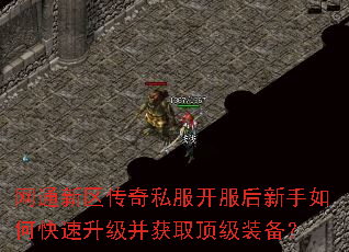 网通新区传奇私服开服后新手如何快速升级并获取顶级装备? 网通新区传奇私服开服后新手如何快速升级并获取顶级装备?