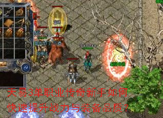 ����3��ְҵ����������ο�������ս����װ��Ʒ�ʣ�