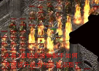 ����3��ְҵ����������ο�������ս����װ��Ʒ�ʣ�