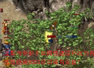 ��Ӱ����������ο�������ս������������BOSS��ȡϡ��װ����