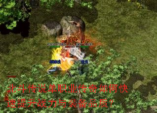 ������˵��ְҵ������ο�������ս����װ��Ʒ�ʣ�