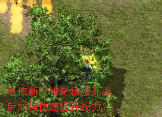 ������������˽����������ο�������ս����