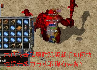 ľ�ϴ���˽�������������ο�������ս�����ȡϡ��װ����