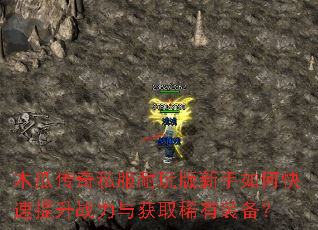 ľ�ϴ���˽�������������ο�������ս�����ȡϡ��װ����