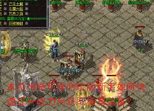 ľ�ϴ���˽�������������ο�������ս�����ȡϡ��װ����