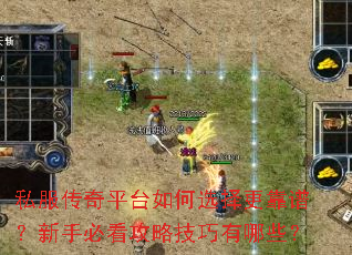 ˽������ƽ̨���ѡ������ף����ֱؿ����Լ�������Щ��