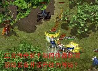 江北传奇新手如何快速获取顶级装备并提升战力等级? 江北传奇新手如何快速获取顶级装备并提升战力等级?