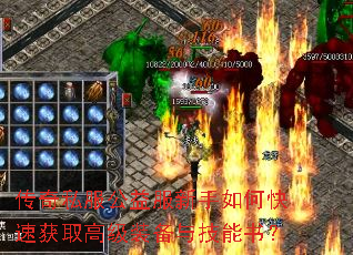 ����˽�������������ο��ٻ�ȡ�߼�װ���뼼���飿