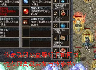 ����˽�������������ο��ٻ�ȡ�߼�װ���뼼���飿