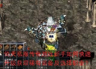 ����˽��������Ϸ������ο���������ȡϡ��װ����ѡ��ְҵ��