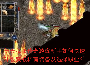 ����˽��������Ϸ������ο���������ȡϡ��װ����ѡ��ְҵ��