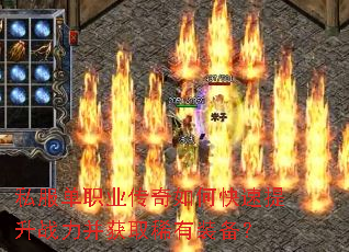 ˽����ְҵ������ο�������ս������ȡϡ��װ����