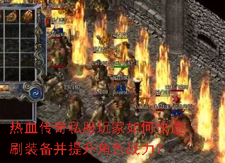 ��Ѫ����˽�������ο���ˢװ����������ɫս����