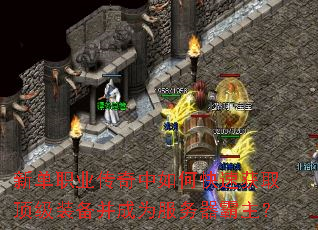 �µ�ְҵ��������ο��ٻ�ȡ����װ������Ϊ������������