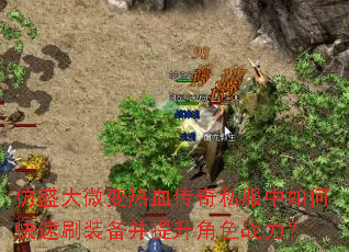 ��ʢ��΢����Ѫ����˽������ο���ˢװ����������ɫս����