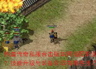 ��Ѫ����˽���ϻ�����δ���ְҵ��ϣ�����������װ����ȡ����Щ���ɣ�