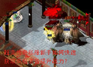 ���䴫��˽��������ο��ٻ�ȡ�߼�װ������ս����