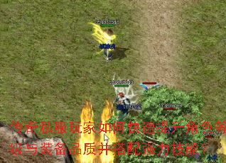 ����˽�������ο���������ɫ�ȼ���װ��Ʒ�ʲ�����ǿ�����ܣ�