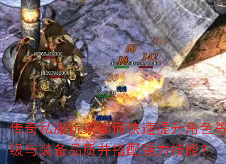 ����˽�������ο���������ɫ�ȼ���װ��Ʒ�ʲ�����ǿ�����ܣ�