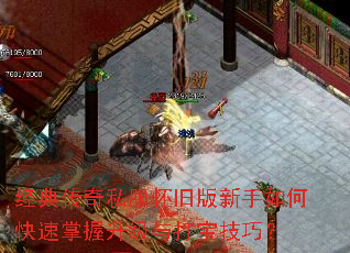 ���䴫��˽�����ɰ�������ο�������������򱦼��ɣ�