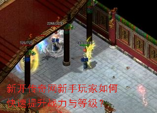 �¿����������������ο�������ս����ȼ���