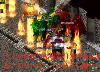 �¿���̬����˽��������ο���ˢװ����ְҵѡ����������������Щ��