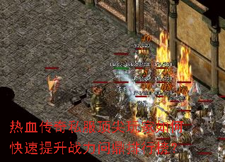 ��Ѫ����˽�����������ο�������ս���ʶ����а�