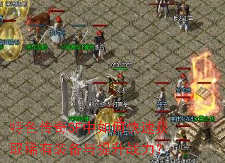 ��ɫ����SF����ο��ٻ�ȡϡ��װ��������ս����