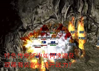 ��ɫ����SF����ο��ٻ�ȡϡ��װ��������ս����