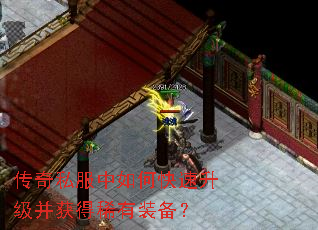 ����˽������ο������������ϡ��װ����