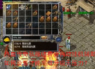 热血传奇私服收费版自动挂机辅助如何设置才能高效升级无压力? 热血传奇私服收费版自动挂机辅助如何设置才能高效升级无压力?