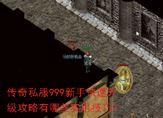 ����˽��999���ֿ���������������Щʵ�ü��ɣ�