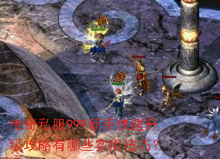 ����˽��999���ֿ���������������Щʵ�ü��ɣ�