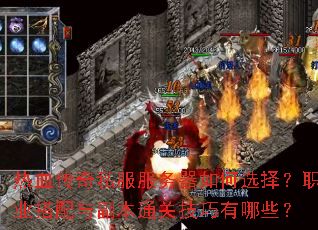 热血传奇私服服务器如何选择?职业搭配与副本通关技巧有哪些? 热血传奇私服服务器如何选择?职业搭配与副本通关技巧有哪些?