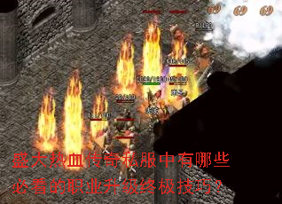 ʢ����Ѫ����˽��������Щ�ؿ���ְҵ�����ռ����ɣ�