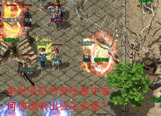 ĩ����̬����˽������ο���ˢ����Ʒװ����