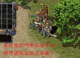 ĩ����̬����˽������ο���ˢ����Ʒװ����