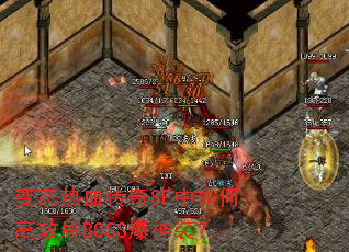 变态热血传奇SF中如何高效刷BOSS爆神装? 变态热血传奇SF中如何高效刷BOSS爆神装?