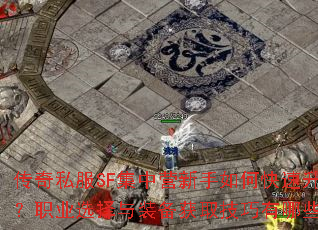 ����˽��SF����Ӫ������ο���������ְҵѡ����װ����ȡ��������Щ��