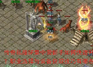 ����˽��SF����Ӫ������ο���������ְҵѡ����װ����ȡ��������Щ��