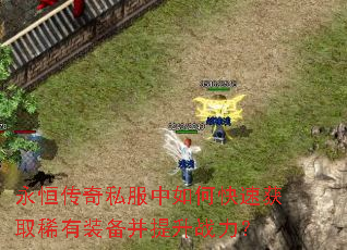 永恒传奇私服中如何快速获取稀有装备并提升战力? 永恒传奇私服中如何快速获取稀有装备并提升战力?