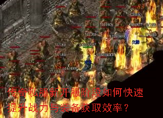 ����˽���¿����׶���ο�������ս����װ����ȡЧ�ʣ�