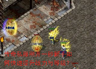 传奇私服刚开一秒新手如何快速提升战力与等级? 传奇私服刚开一秒新手如何快速提升战力与等级?