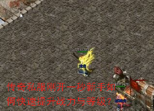 传奇私服刚开一秒新手如何快速提升战力与等级? 传奇私服刚开一秒新手如何快速提升战力与等级?