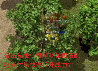 �ϻ�˽��������Ϸ��δ��似�ܲ��ܿ�������ս����