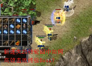 新迷失20转轮回中如何高效击败终极Boss? 新迷失20转轮回中如何高效击败终极Boss?