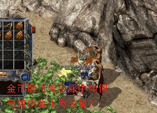 ��Ұ洫��˽������θ�Чˢ�����װ����