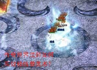 �������編ʦ��θ�Ч������������