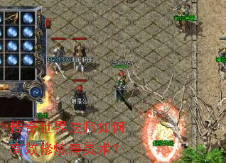 �������編ʦ��θ�Ч������������