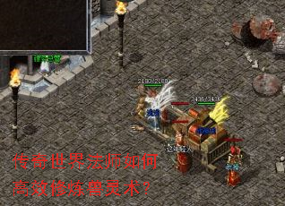 �������編ʦ��θ�Ч������������